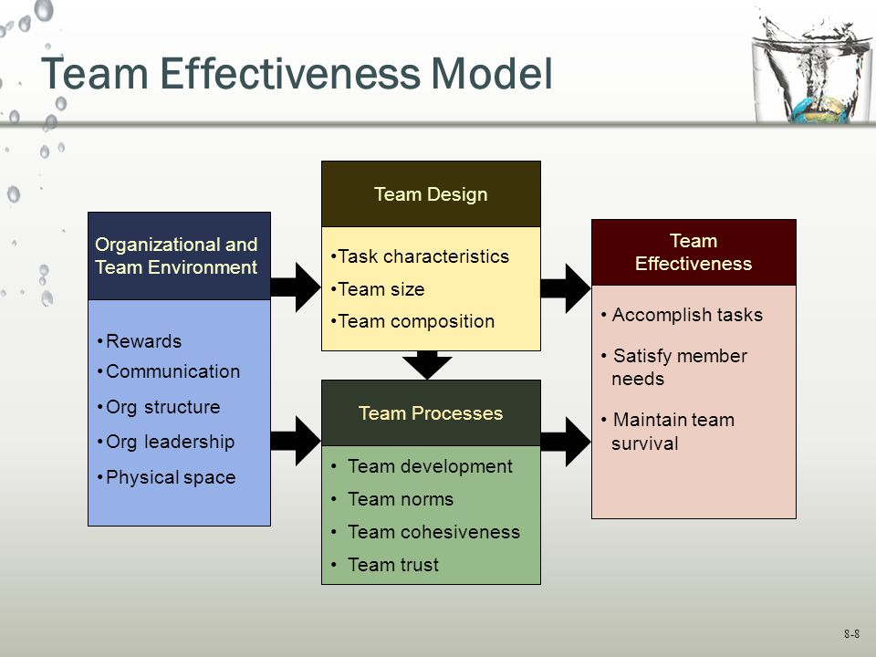 Team Effectiveness Assessment